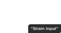 strain input